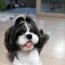 나도나도 이미지