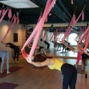 요가(심화) 이미지