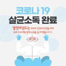 정상태권도 이미지