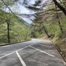 내원사계곡(내원사) | 양산 내원사 계곡 드라이브 후기 - 발 담그면 알게 되는 것