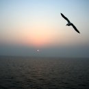 하루하루하루 이미지