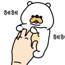 꽃보다 멍 이미지