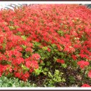 조선대학교병원 이미지