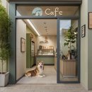 멋내는 애견 이미지