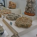 덕소자연사박물관 이미지