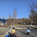 A23 | 놀이터와 넓은 공원이 있는 안성맞춤 캠핑장(ft.벚꽃구경,오토캠핑장A23후기)