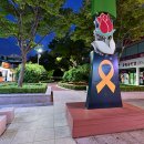 장미의거리4 이미지