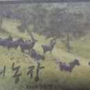 솔미민박 이미지