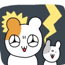르에브뷰티 이미지