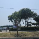 주식회사깊은바다 | 궁평항 무료 차박 다이소 직화용기 후기