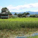 연꽃방죽체육공원 이미지