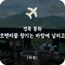 오렌지꽃향기는바람에날리고민박 | 경북 봉화 가볼만한곳 잊을수없는 전망 [ 오렌지꽃향기는바람에날리고] 카페 강력하게 추천!!