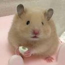 심휘트니스 이미지