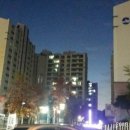 유여사추어탕