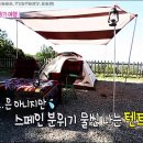 윤한농장 티스토리