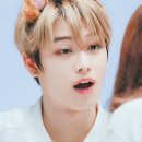 디디디 이미지