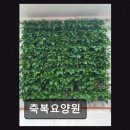 인중로 | [인천 요양원/추천/후기] 축복요양원 진심 담은 요양 서비스