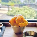라룬블루(La lune bleue) | 서귀포 카페, 제주 서귀포 디저트 애플망고빙수 맛집 라룬블루(La lune bleue)