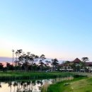 솔라고CC 라고 이미지