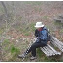 토지초교 이미지