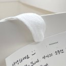 하원새마을금고 | 안산 돌떡 답례떡 봄날의 설기