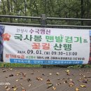 9월 1일 안성시 수국 명산 국사봉 맨발걷기.꽃길산행..수국이 만개한 숨겨진 수국 명소 안성 국사봉으로 가보세요... 이미지