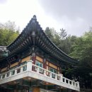 내원정사 옆 이미지