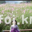 하중도길 이미지