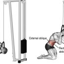 V10휘트니스 이미지
