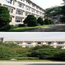 영동고등학교 이미지