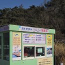 산정 | 포천 산정호수 썰매축제 후기｜오리썰매 이용 + 주차장 정보 정리