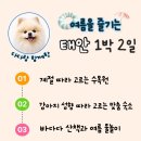 허브힐펜션 | 태안 애견동반 여행코스 | 강아지와 안면도 1박 2일 코스
