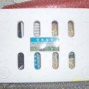 원배농장 이미지