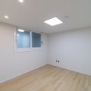 국화한신 이미지