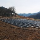 다래골농장 이미지