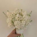 킴스헤어 | 이쁘다고 해준 웨딩 부케 추천ㅣ연희동 플라워카페 '킴스룸' 후기ㅣ제니꽃다발 꽃꾸ㅣ트위드 튤립 부케💐