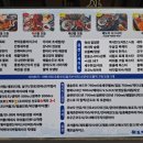 해도지 | 종각역 애견동반 가능 횟집 해도지 후기