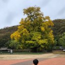 곽재우장군문화공원 이미지