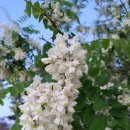 속초중앙교회 이미지