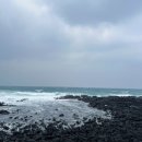 5박 6일 제주도 먹방 여행 내돈내산 후기