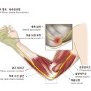 경희동서한의원 네이버블로그