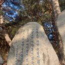 행복펫 애견미용실 이미지