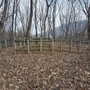 새낭골(위) 이미지