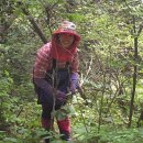 설피농장 이미지