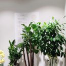 여의도삼성정신건강의학과의원 이미지