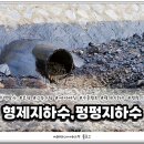 형제보링 이미지