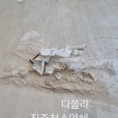 덕진건설(주) | 진주 청소업체 더샵피에르테 덕진 진주의봄 입주청소 추천