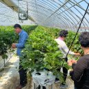 만석보농장 이미지