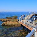 호미반도해안둘레길 이미지