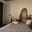 네오키즈 광명 | 지난 1월말 일상들